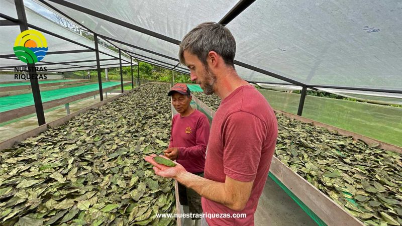 Napo: MAG impulsa la vinculación comercial de productores hacia mercados internacionales