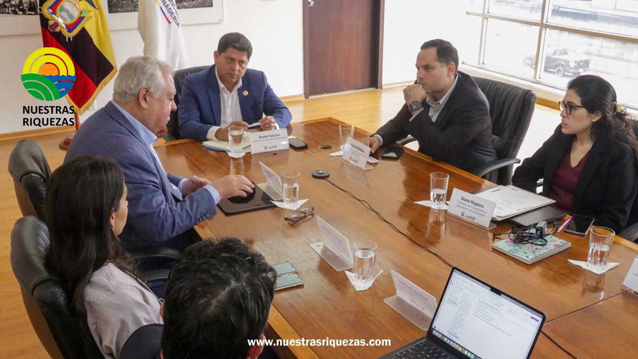 MAG avanza en soluciones innovadoras de aseguramiento agrícola, con apoyo del PNUD y el IDF