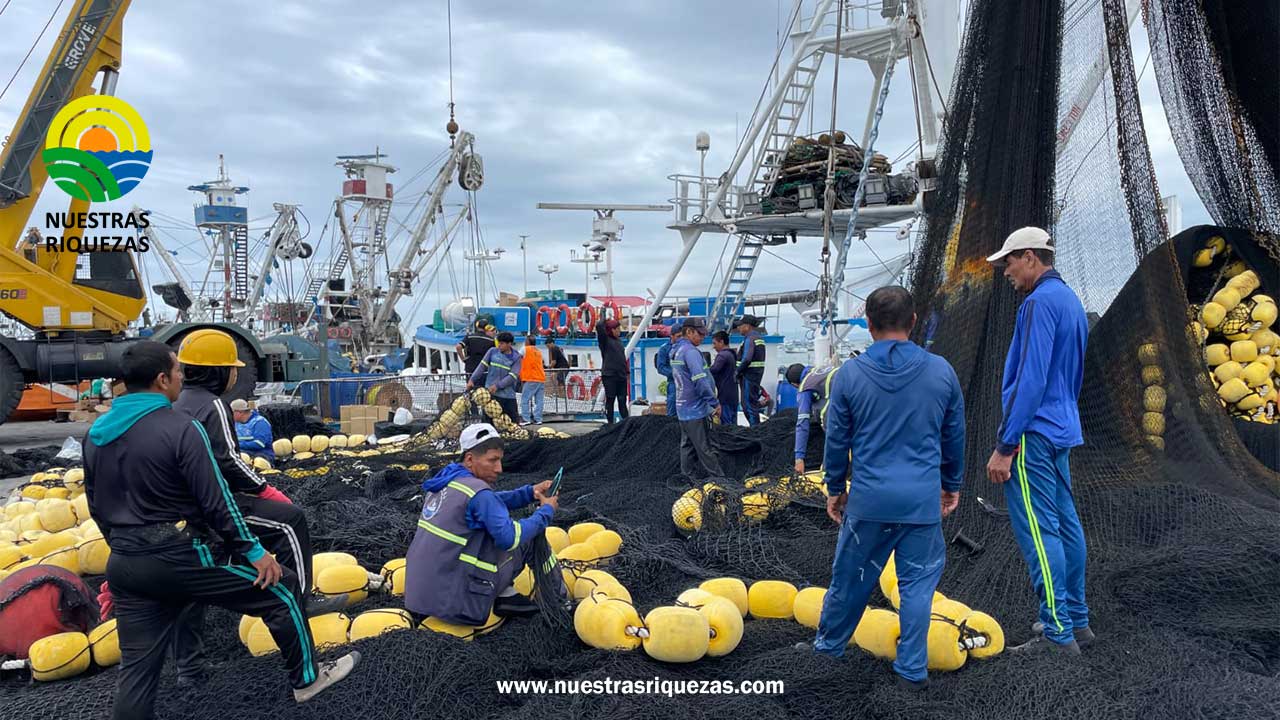 Gestión del Gobierno de Daniel Noboa posiciona a Ecuador entre los principales exportadores de atún a nivel mundial