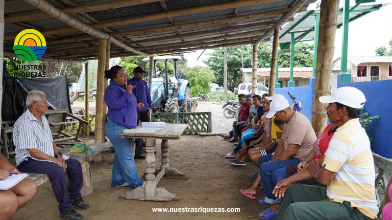 Gobierno de Daniel Noboa ejecuta acciones preventivas frente a la temporada invernal para minimizar los impactos en la producción agrícola y pecuaria